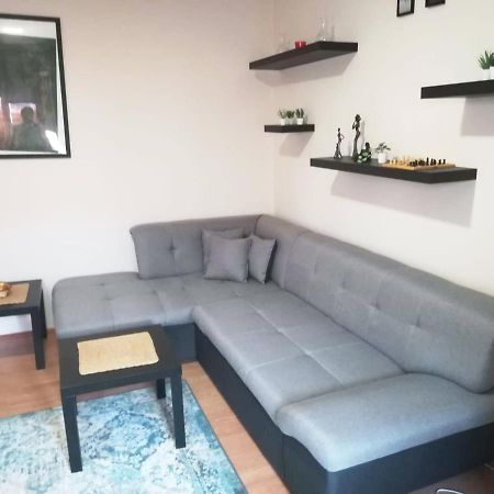 Viki Apartment Centar นิส ภายนอก รูปภาพ