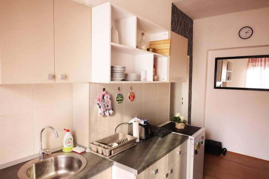 Viki Apartment Centar นิส ภายนอก รูปภาพ