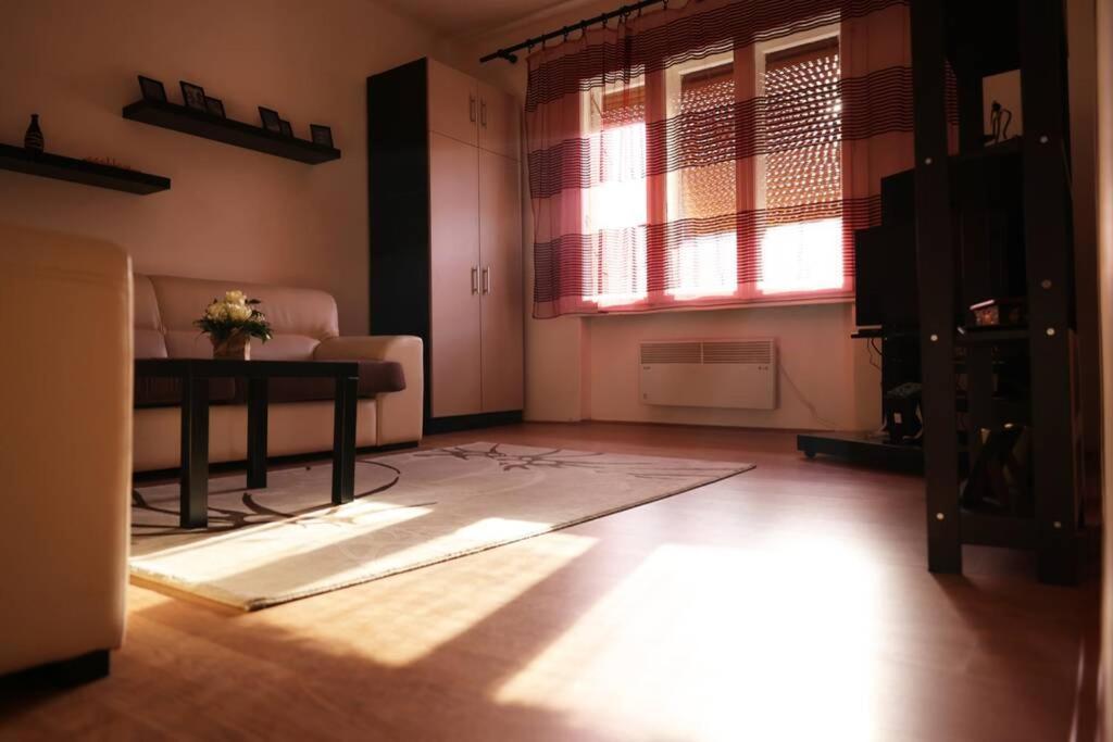 Viki Apartment Centar นิส ภายนอก รูปภาพ