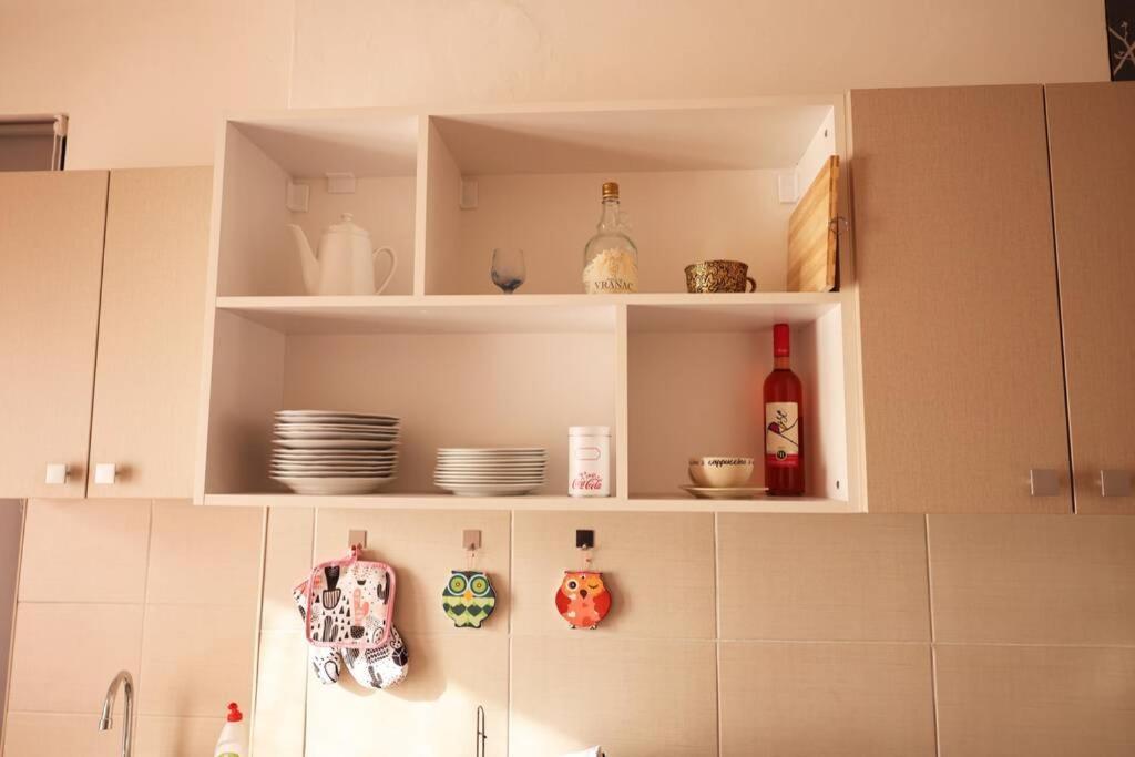 Viki Apartment Centar นิส ภายนอก รูปภาพ