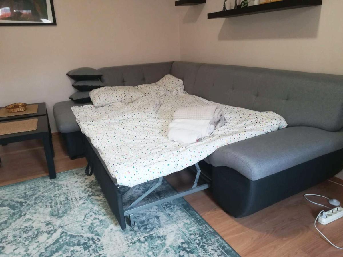 Viki Apartment Centar นิส ภายนอก รูปภาพ